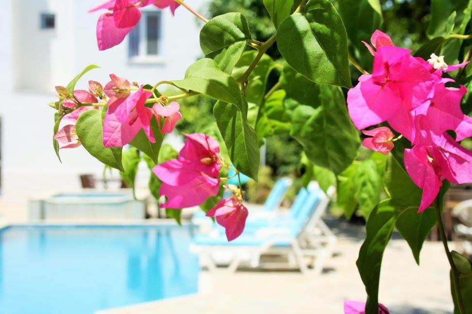 Parla Apart Hotel Кешме Экстерьер фото